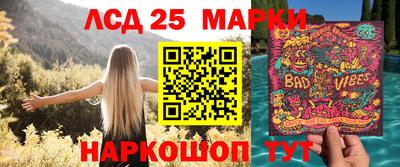PSILOCYBIN Краснодар